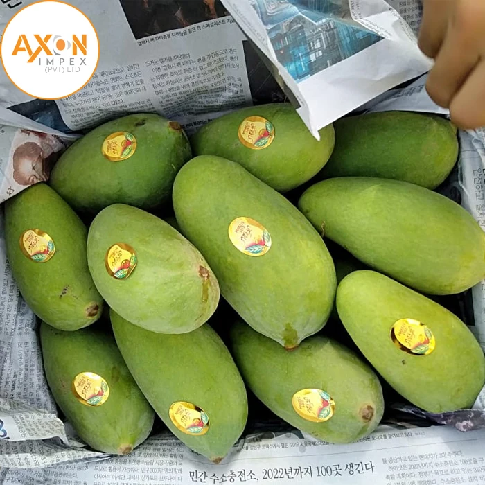 Best Chaunsa Mangoes From Pakistan At Low Price
