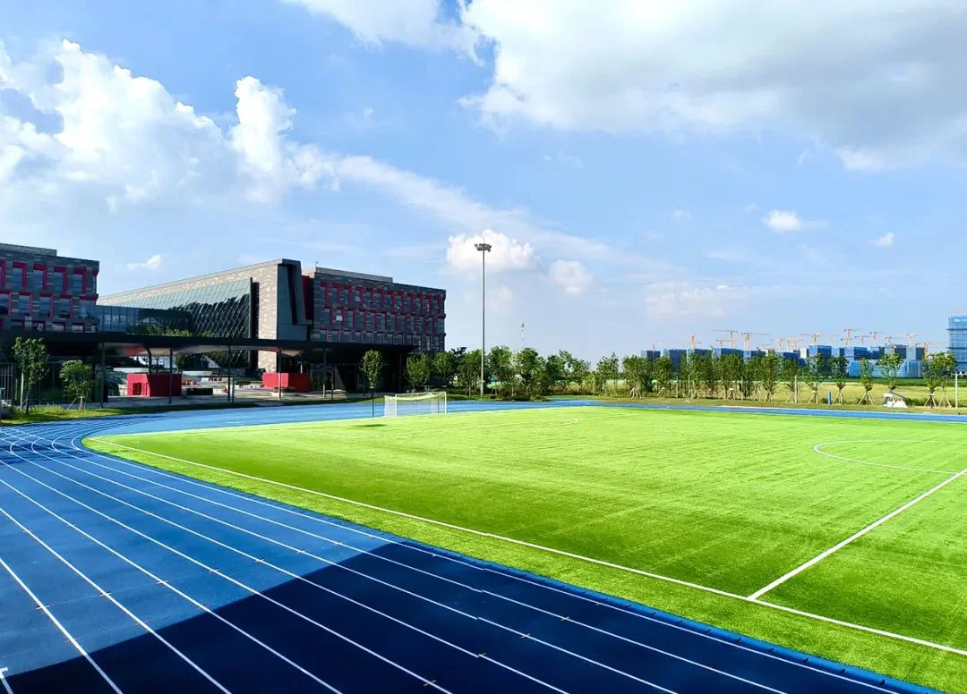 Half infill football grass 25mm 30mm soccer turf synthetic green grass carpet