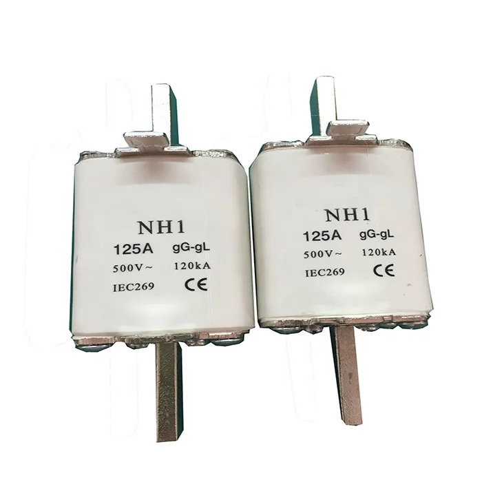 nt ceramic fuse 16a 250v