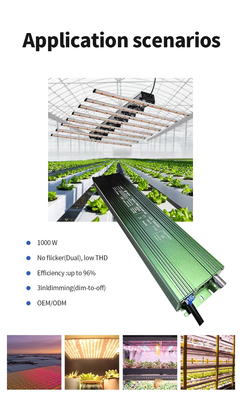 Tbwtek DC 48 Volt 20 Amp LED Driver Transformer Switching Power Supply 1000W For Indoor Veg Flower 1000W Commercial Grow Lights