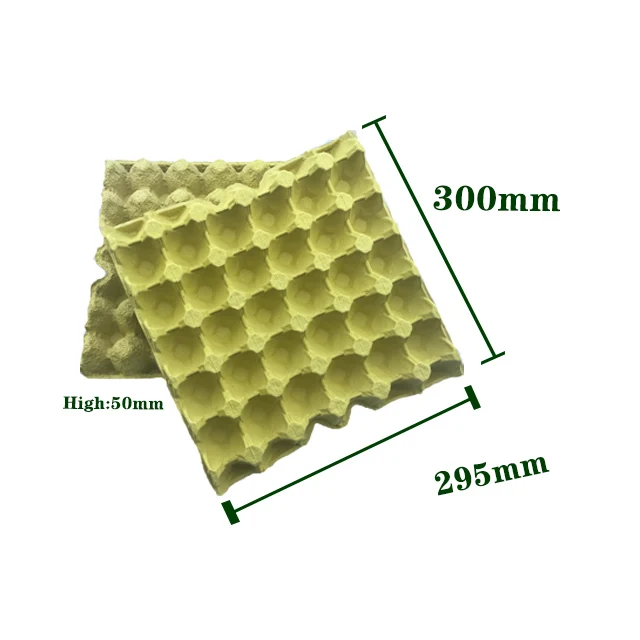 Universial Size Biodegradable Pulp Egg Tray 30 For Organic Eggs