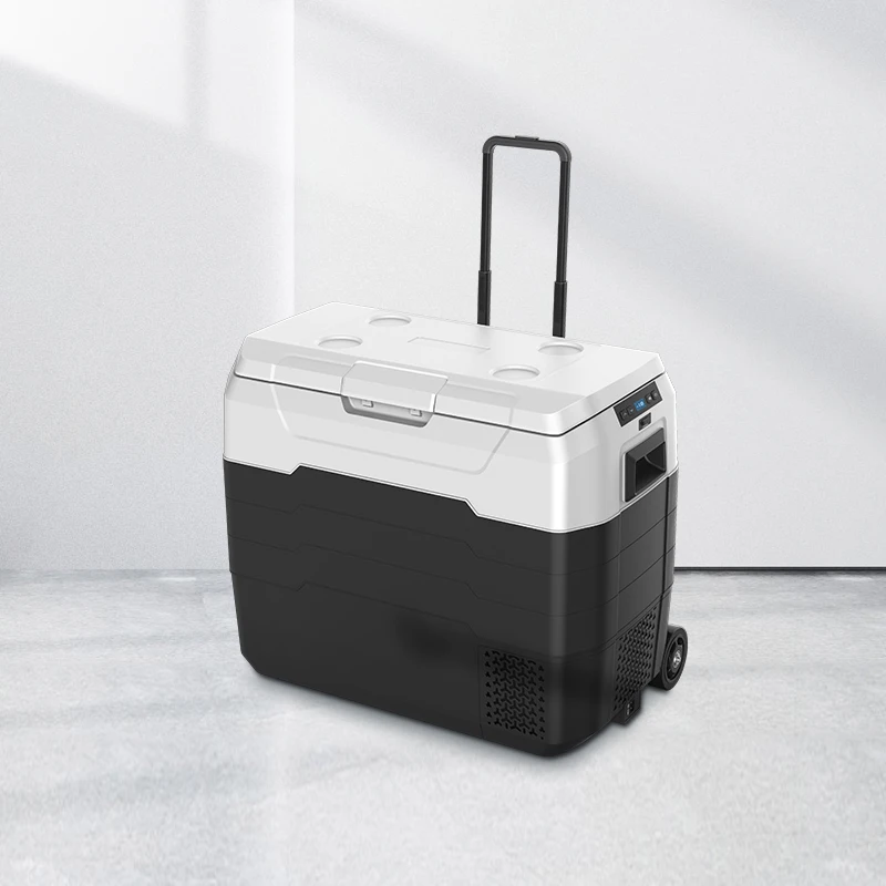 WAYCOOL ALG50 50L AC100~240V ODM OEM High Quality Car Fridge with Inbuilt Battery & CE CB SAA Certificates for Home Cars