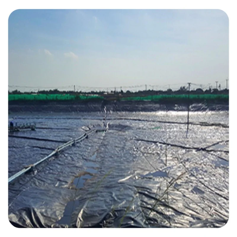 PVC Membrane Damp Proof Membrane HDPE Geomembrane Liner
