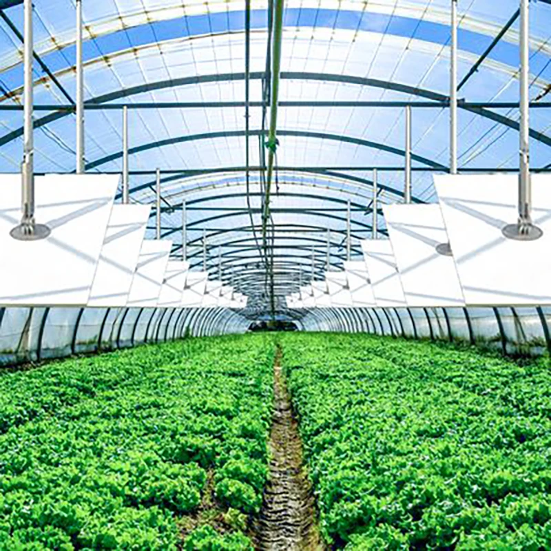 Single Span Polytunnel Tunnel Agricultural Greenhouse