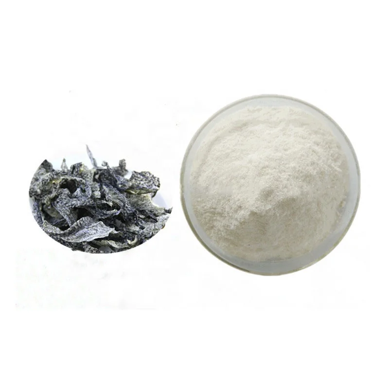 
Raw Material Peptide Powder Fish Collagen Protein Peptide Powder for Face 