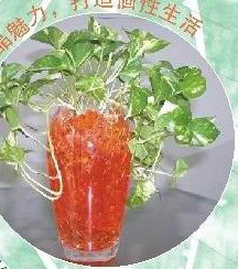 2024  magic plant gel polymer water crystals bead