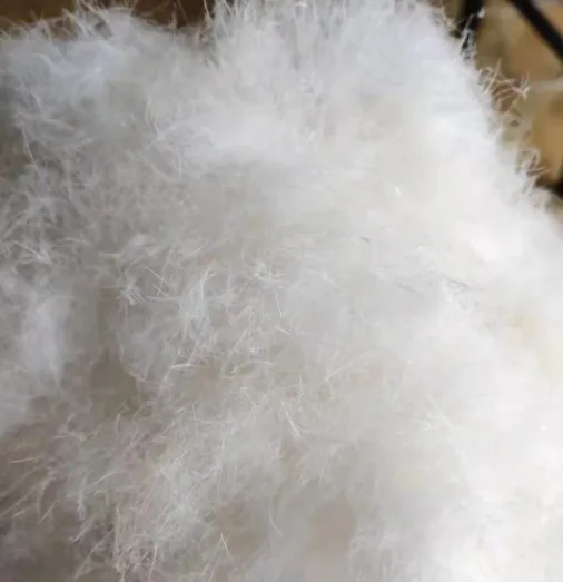 White Duck Down and White Goose Down 600/700/800/1000 Fill Power High Quality