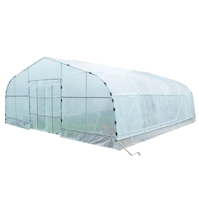 
PE flim Hot Sale Agricultural Greenhouse single-span Greenhouse for vegetables 