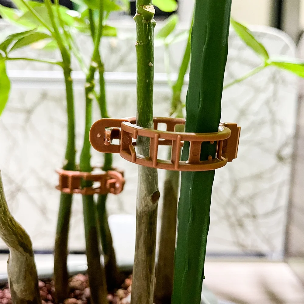 100 pack small size spring plant staking loop gripper vine clips for wholesale