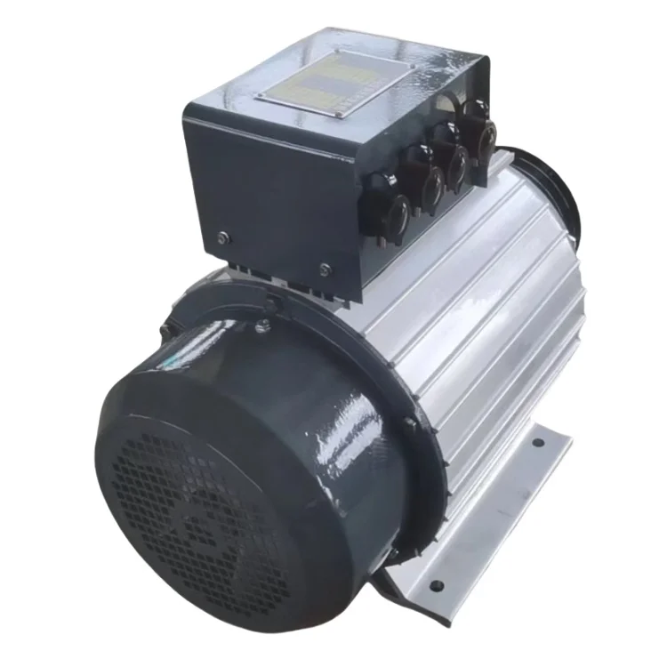 Portable Generator Round Case Brushless Ac Synchronous Alternators With Wheels For Sale