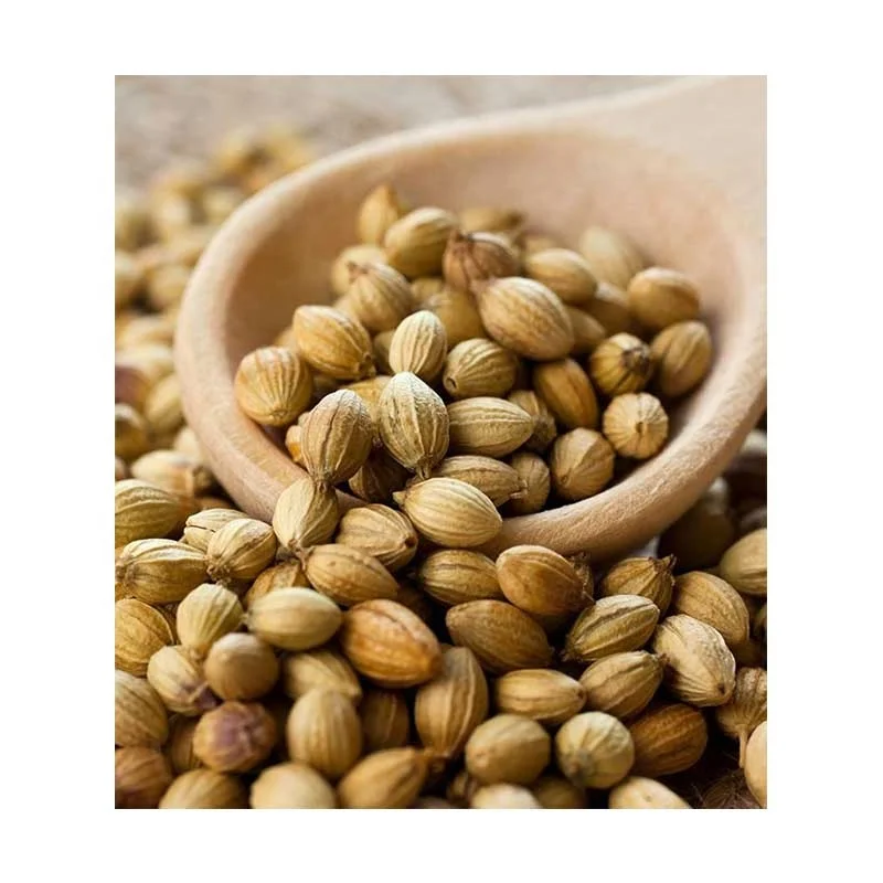 Coriander seeds price bulk quantities coriander seeds natural oriander seeds 100 % for world wide importers and buyers