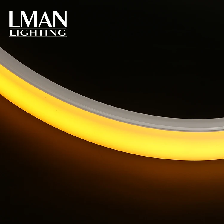 Garden Christmas Festive Decoration Ip65 20*14mm 120led/m Smd 2835 Dc 12v 24v 8w Led Neon Light