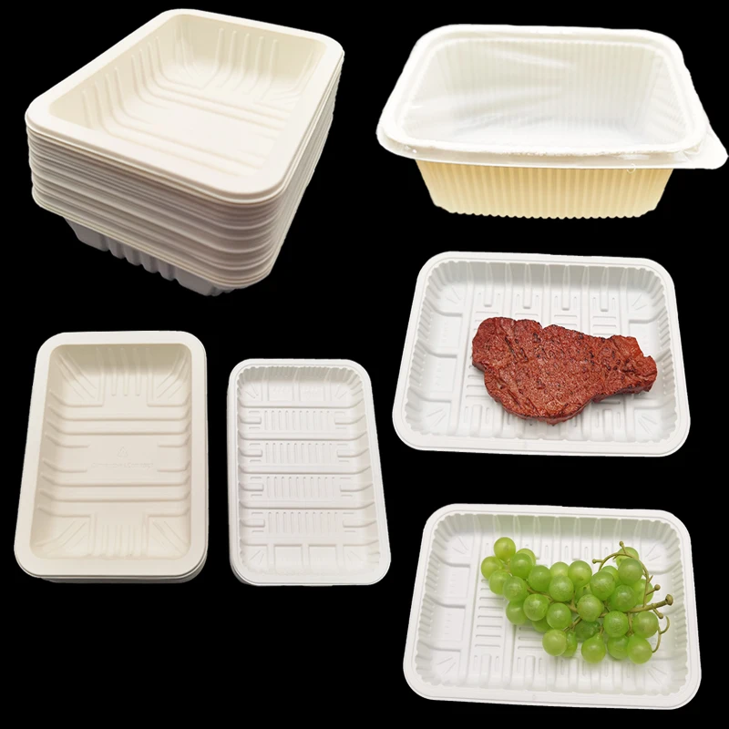 Rectangular disposable biodegradable corn starch food tray fruit plate food packaging container
