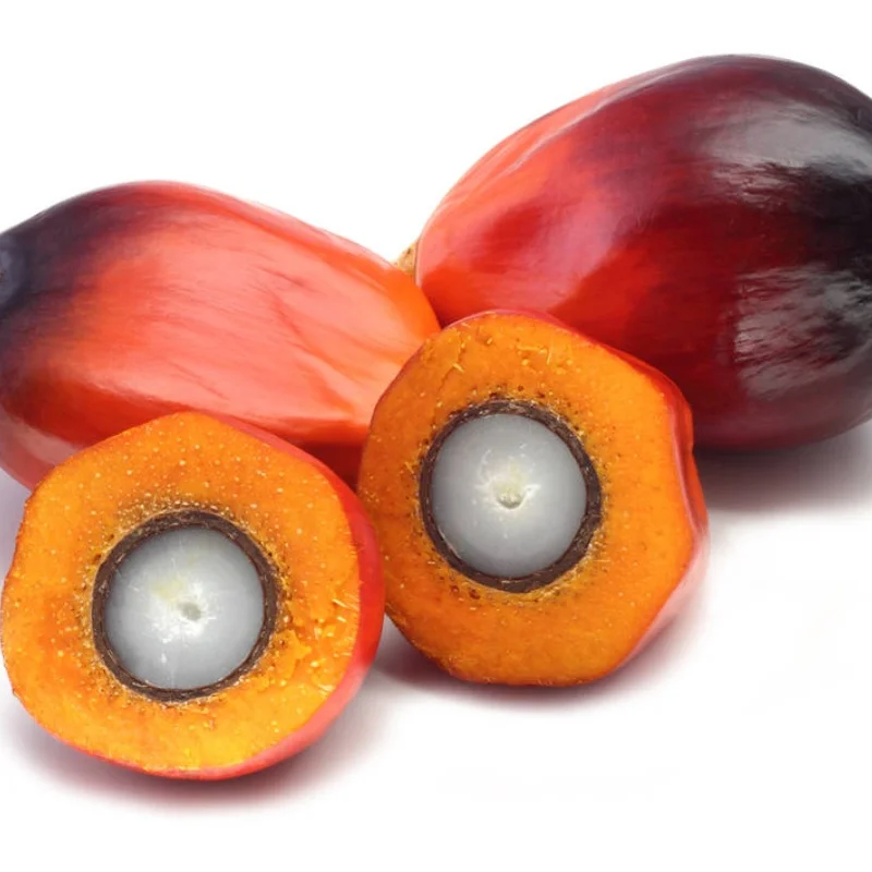 Factory Supply High-Purity Pure Natural Food Grade Palm Fruit Juicy Powder Freeze dried palm fruit powder Palm fruit powder