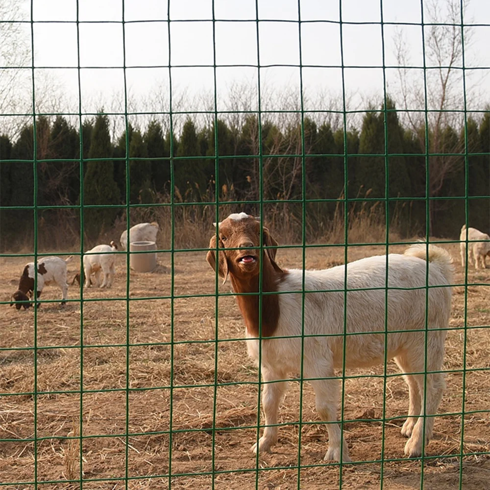 PVC Coated Welded Wire Mesh Fencing Green PVC Welded Wire Mesh