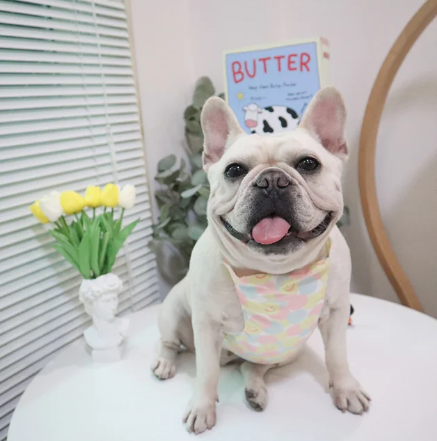 New cooling clothes summer ice bag anti heatstroke camouflage ice bag dog heat relief pet vest