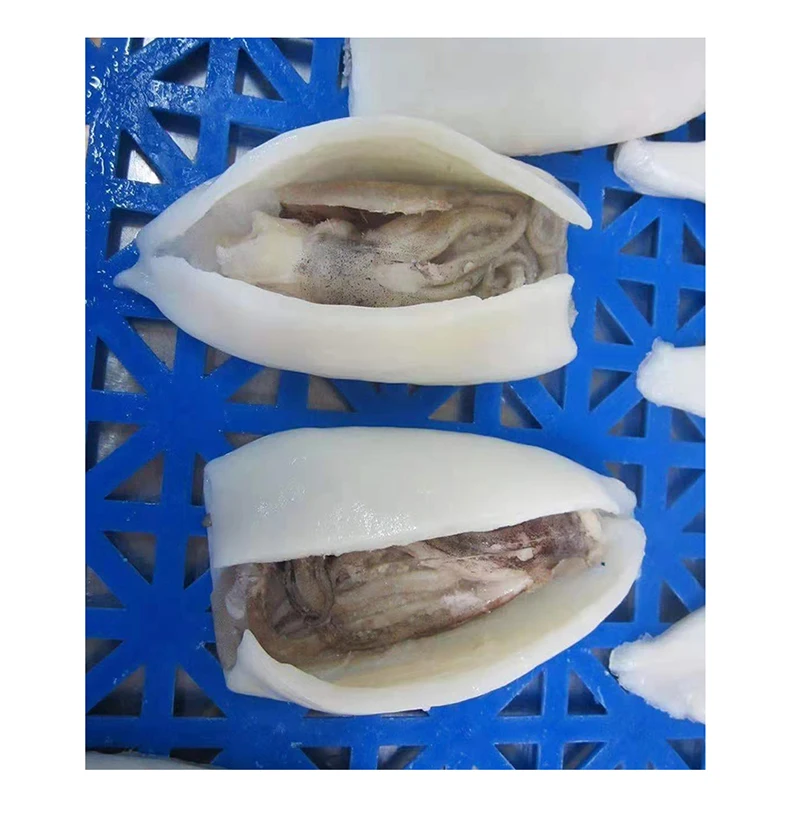 EU standard wholesale calamari tube squid tentacles squid wings distributor export for food human consumption