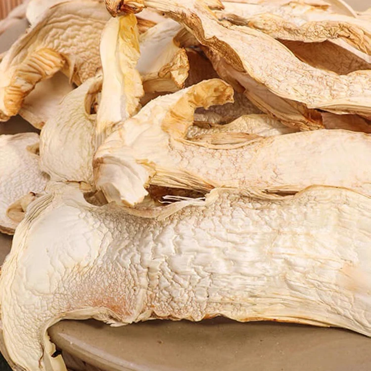high Quality matsutake mushroom tricholoma matsutake freeze dried matsutake