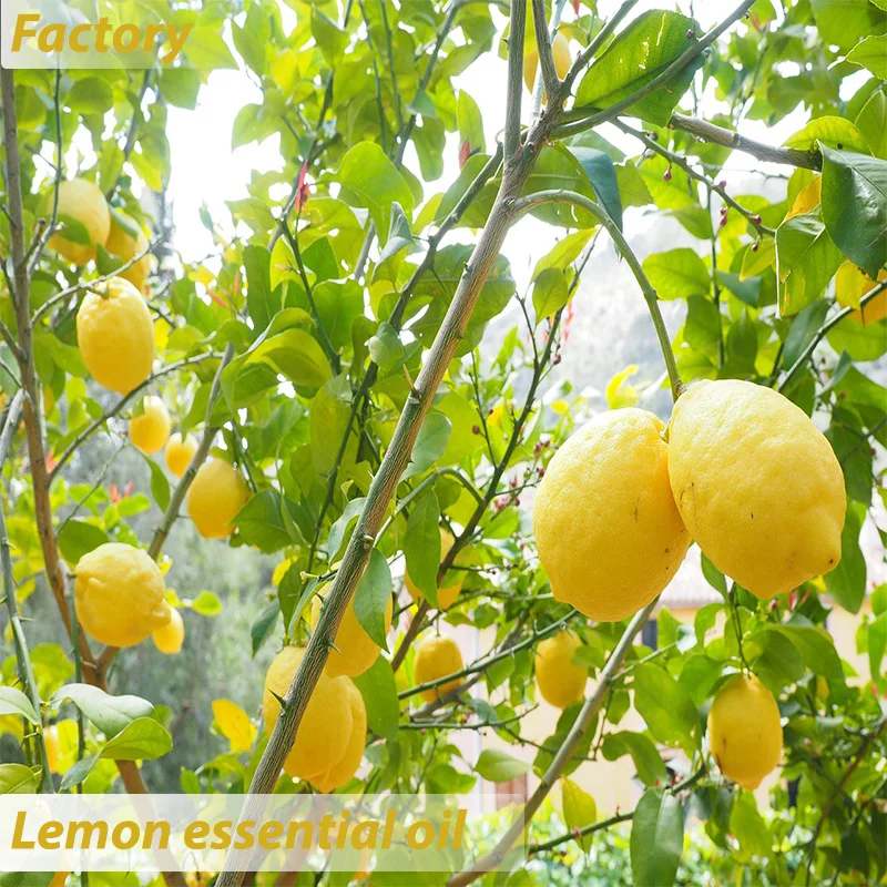 100% pure & natural lemon essential oil single color box aromatherapy for diffuser skin candle perfume ect