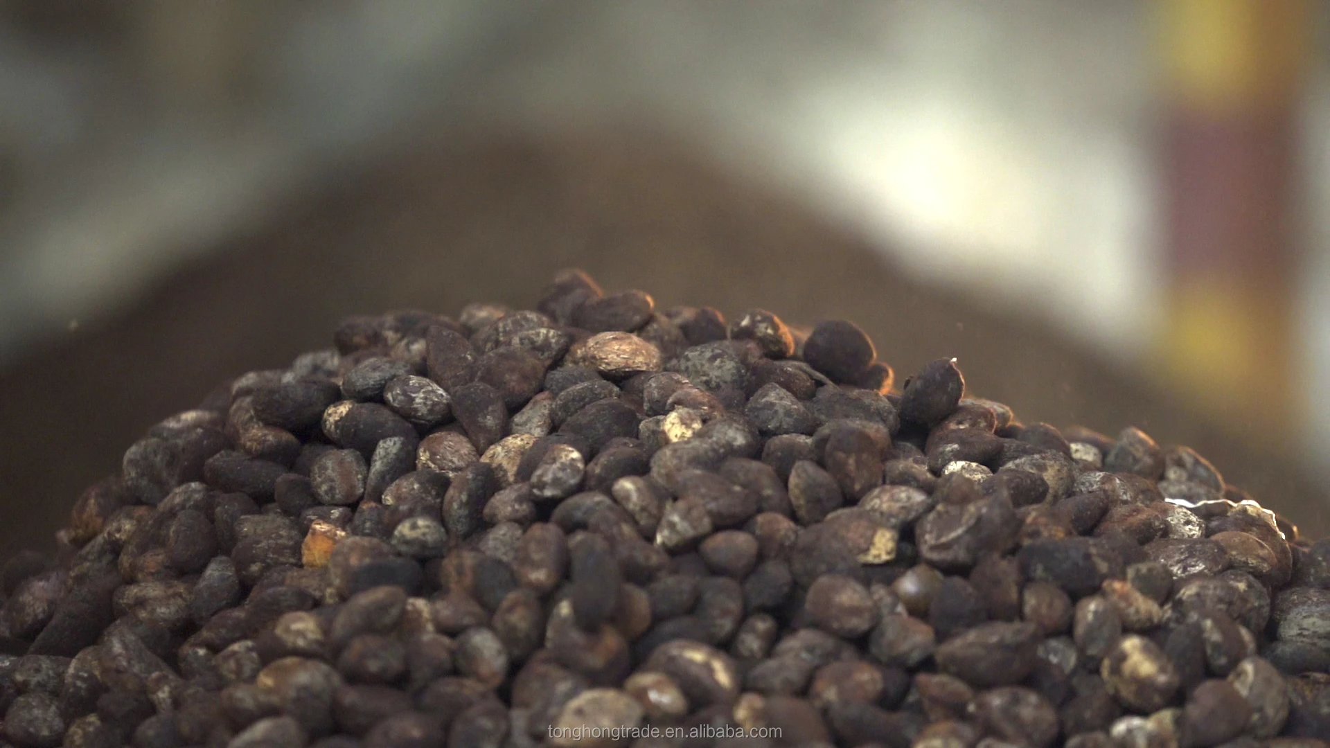 CAS 8001-20-25 industrial low price high quality tung oil