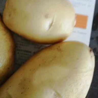 Comprehensive Nutrition french fries make machines chips potato fresh potatoes for sale