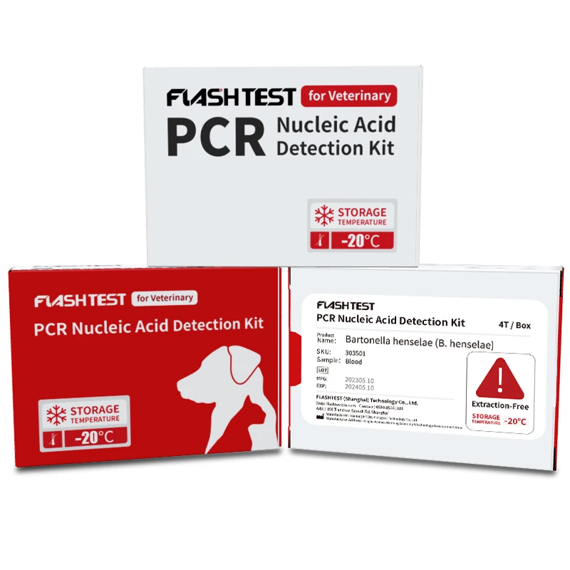 Wholesale High Accuracy Veterinary Diagnostic B. henselae Bartonella henselae PCR Rapid Test Kit