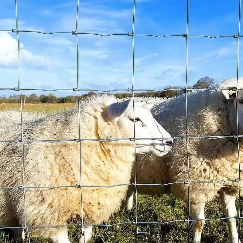 Farm Livestock Animal Cheap Cow Rail Fence / Metal Fence Panel Cattle Sheep Cheap Field Yard Horse Goat Sheep Corral Farm Fence