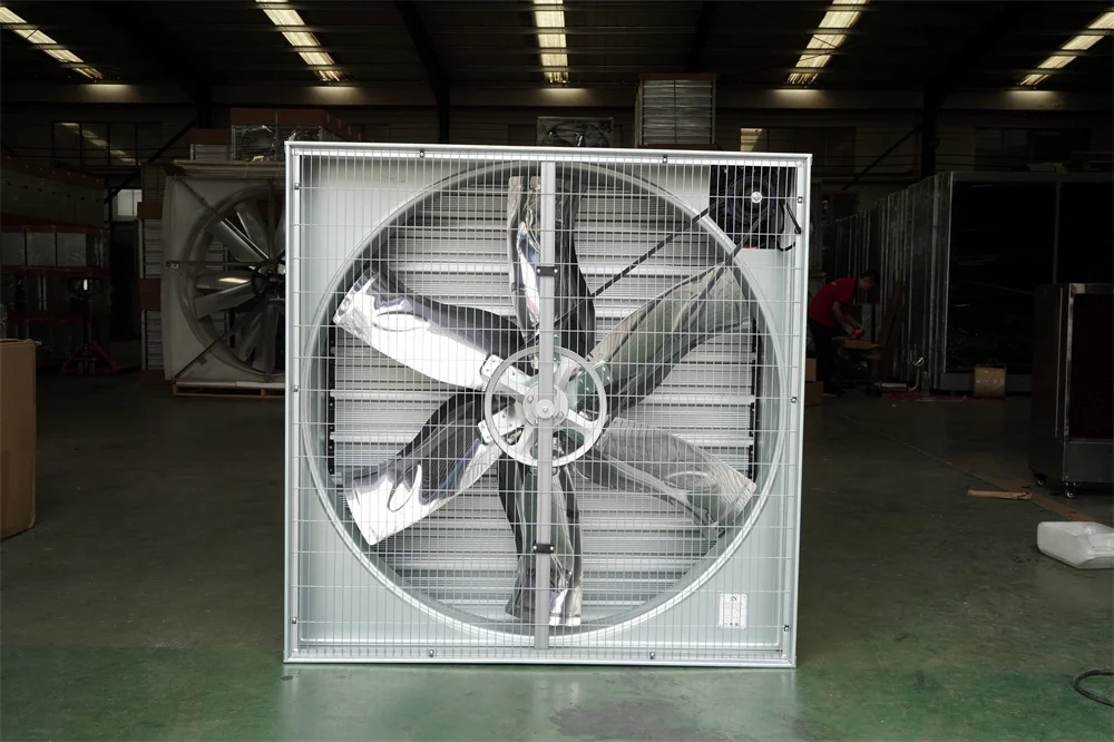 36 Inch 50 Inch 54 Inch 60 Inch Ventilation System Livestock and poultry equipment in poultry farms Push-pull fan