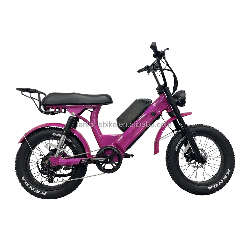Lantu Ebike 20-дюймовый Двойной аккумулятор 48 Вольт литиевая батарея e bike 1000 Вт толстый шинный Электрический велосипед для взрослых