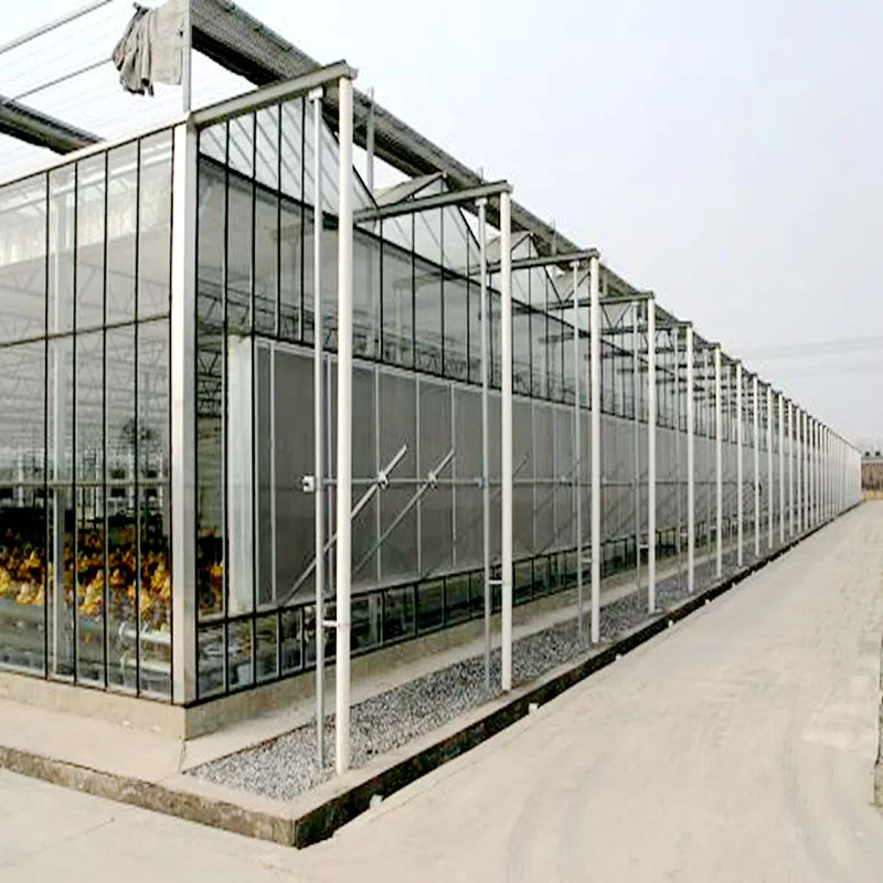Wholesale price agricultural stable structure greenhouse commercial glass greenhouses from china