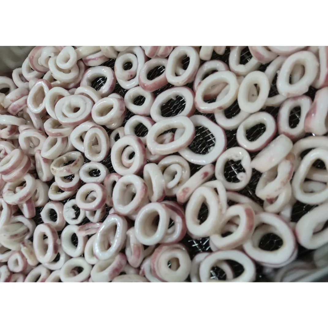 origin China new processing top selling hot sale sotong squid meat frozen squid ring