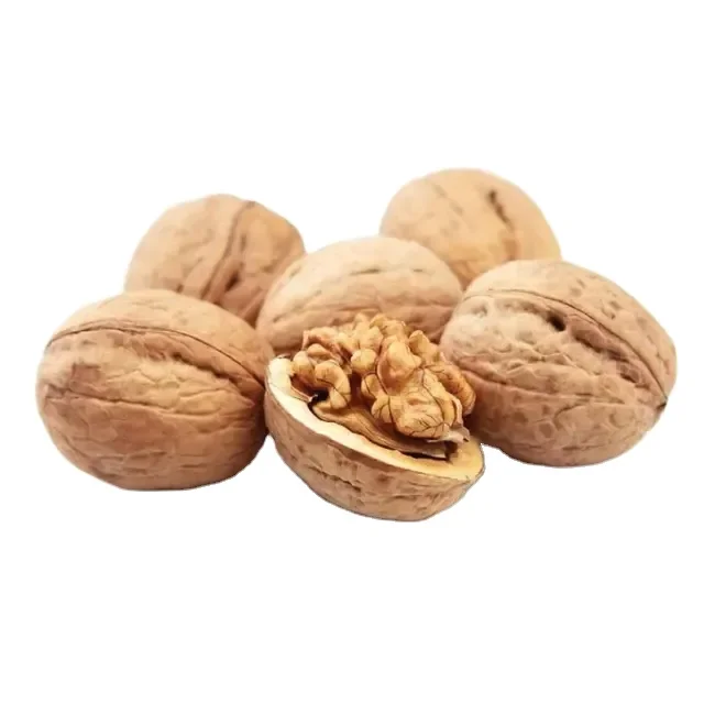 Good Quality for Wholesale New Crop Chinese 33/185/xin2/xingfu Edible Nuts of Walnuts Dried Fruit Top Thin Raw Cashew Nuts