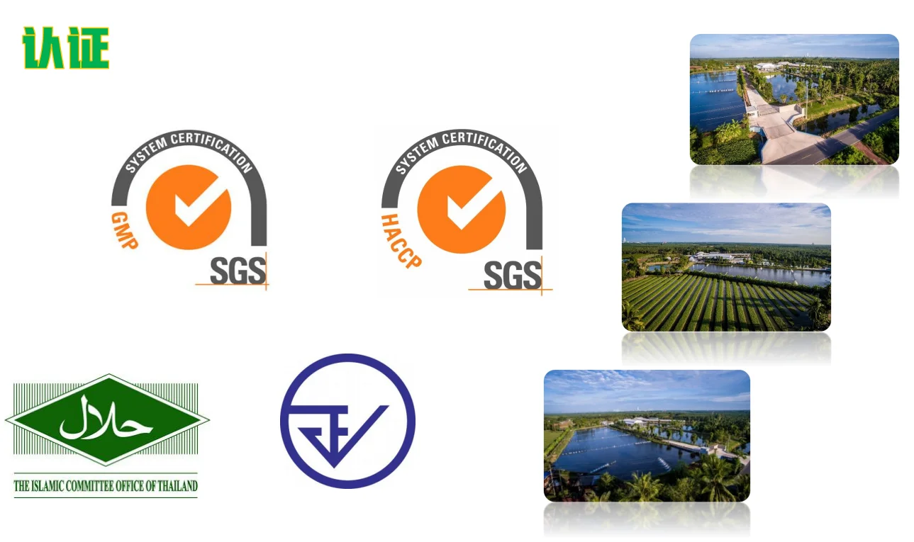 Tropical Flavored Fruits Young Coconuts Green Coconuts With Cold-Chain Transportation