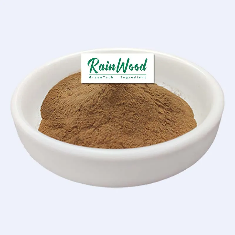 Поставка Rainwood 7 в 1 травяной порошок для грибов Maitake Cordyceps Reishi Chaga Львы грива смешанный с лучшим водорастворимым