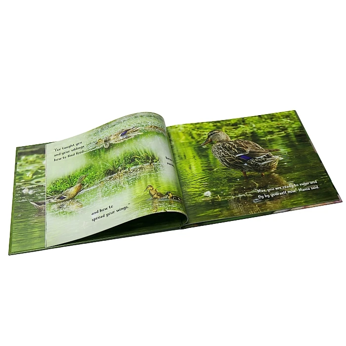 Изготовленная на заказ твердая обложка для фотоальбомов сбор книжная печать профессиональное искусство и фотография Презентация