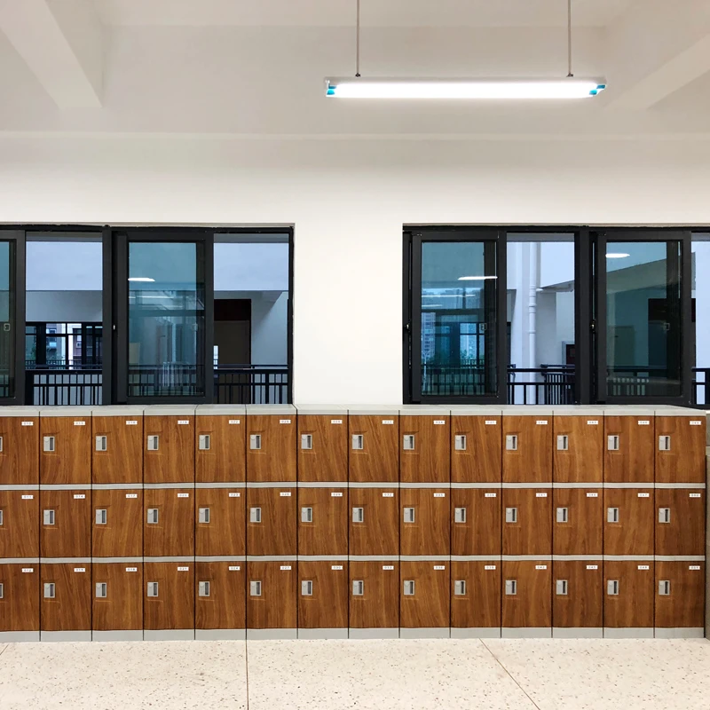 wholesale price small cute fingerprint pad lock for bag/school locker intelligent smart padlock digital locker clothes lockers