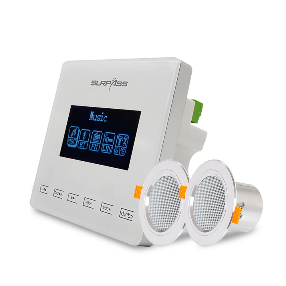  Surpass Audio Mini Stereo Blue Tooth In Wall Amplifiers Smart Home Cinema With 8Ohm 10W Bathroom Moisture-proof