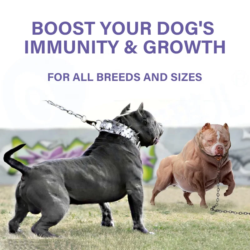 Custom All in One Dog Muscle Bully Gain Supplement Boosts Energy High Whey Protein Dog Health Care Supplement