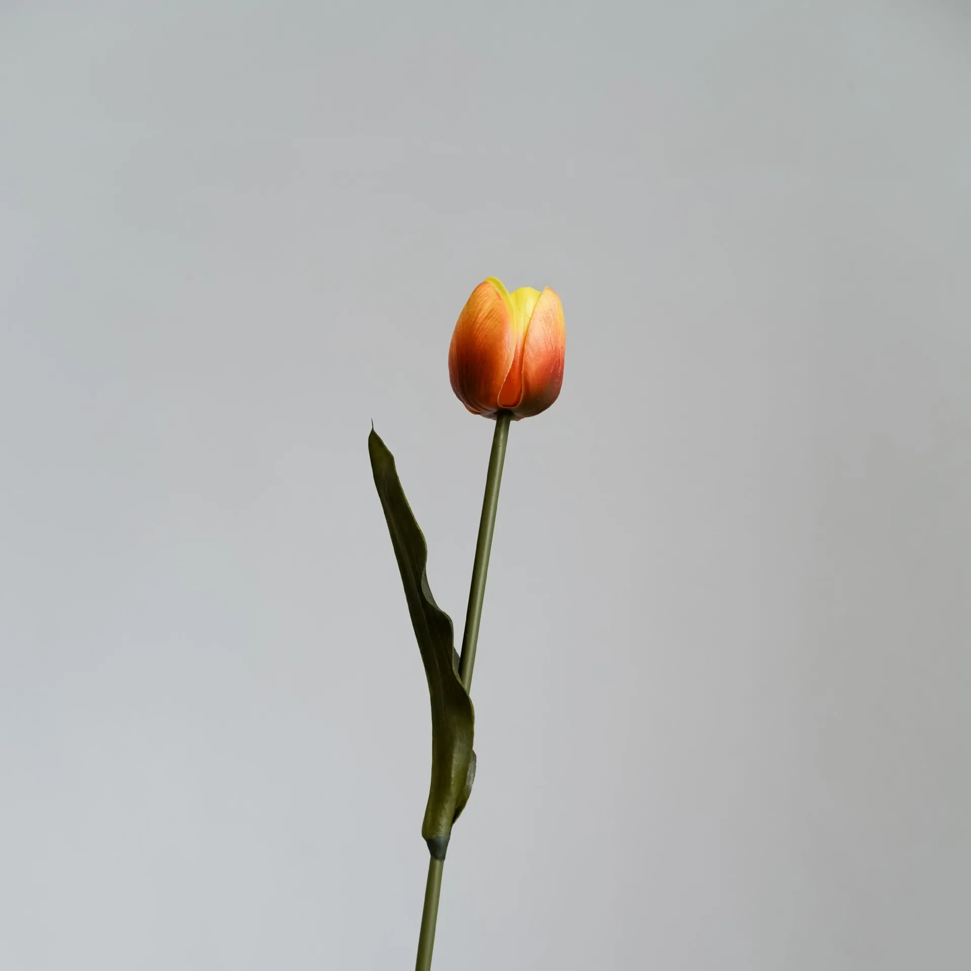 Multicolor Bohemian Style Simulated Floral Decor Lifelike Tulips Home Kitchen Wedding Graduation Halloween Wall