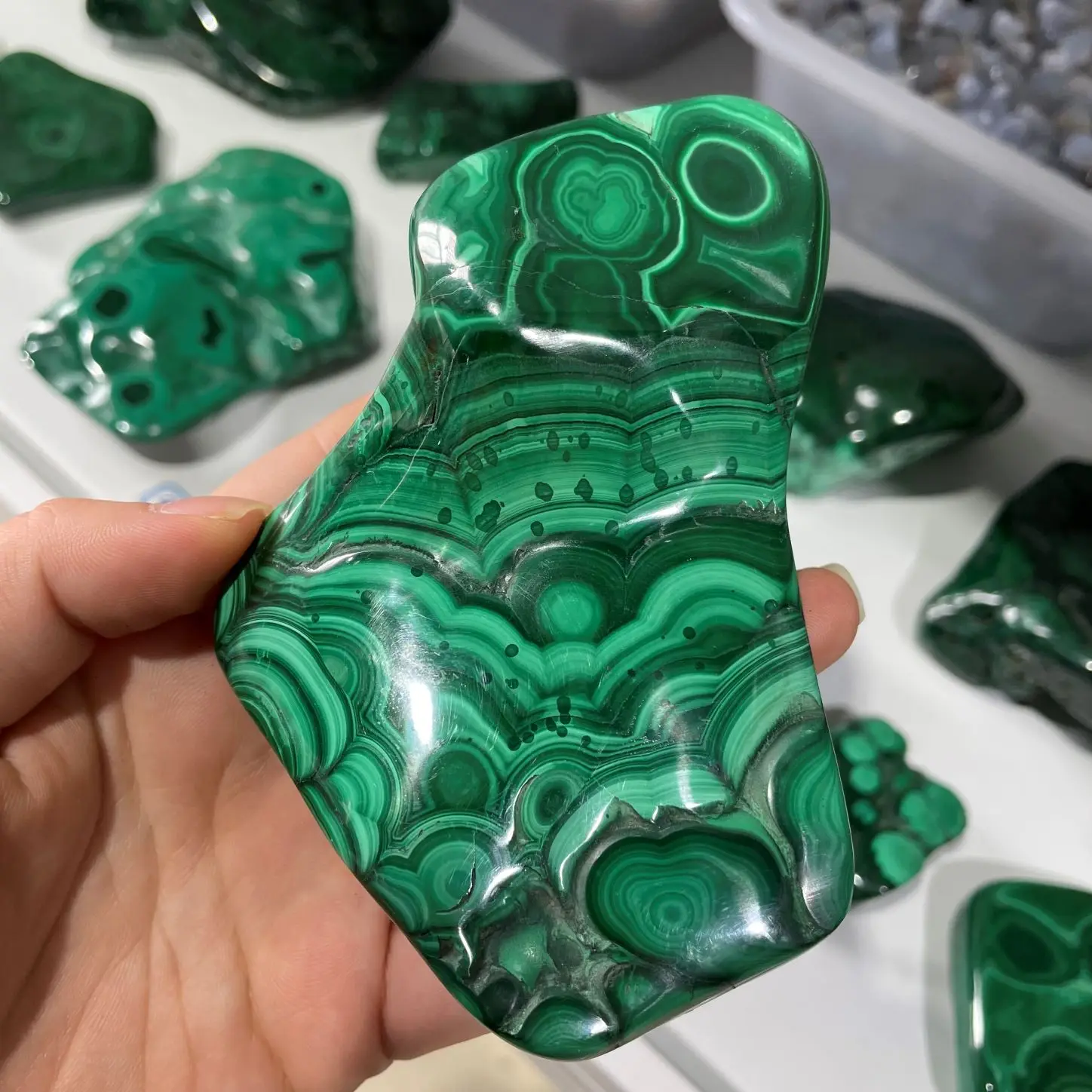 Оптовая продажа, натуральные кристаллы, лечебный камень, Хризоколла, пальмовый камень бесплатно с Малахит