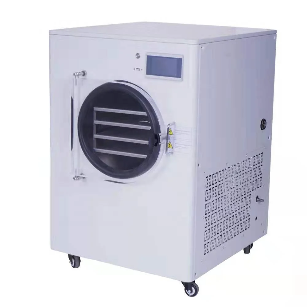  Factory Price Industrial Home Use Seafood Mini Food Freeze Drying Machine Small Vacuum Dryer