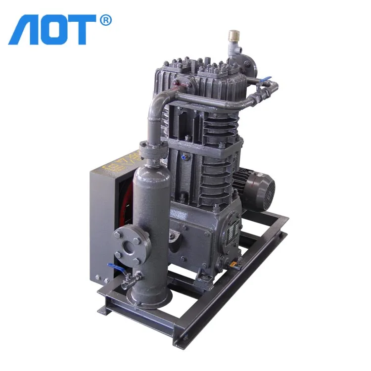 Custom China Manufacturers Biogas Compressor 250bar Methane Gas Digesters Methane Compressor for Sale