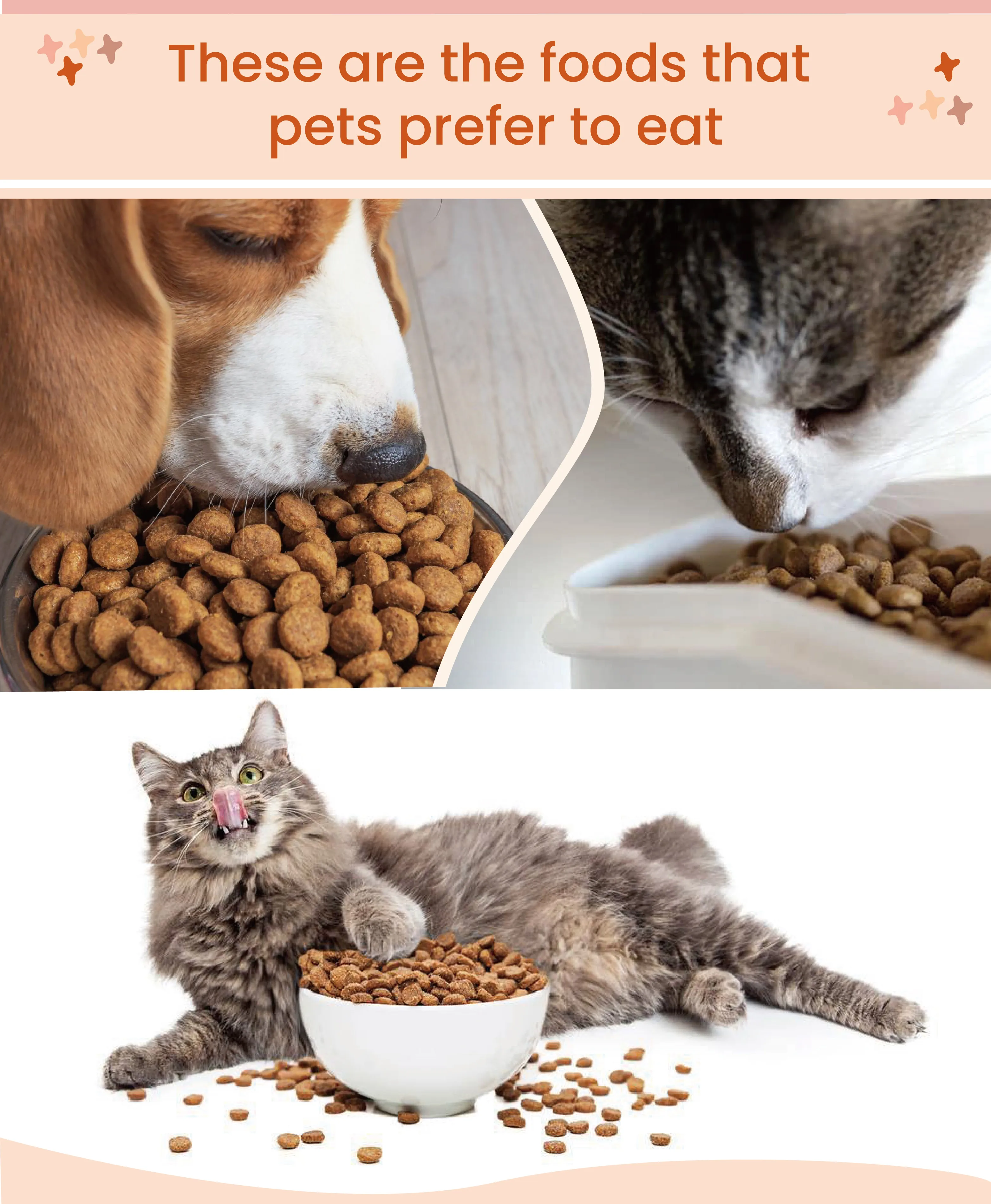 OEM ODM Chinese Various Flavors Multiple Shapes 18% Protein Content Dry Pet Food