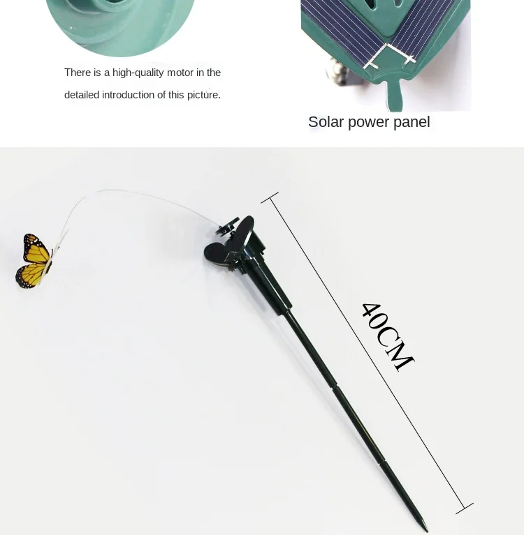 Butterfly details page_12