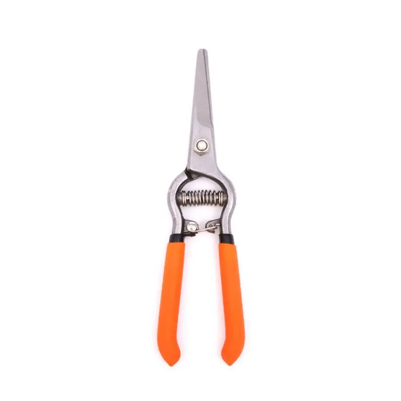 Custom Or Standard Wholesale Price Drop Forged Pruner