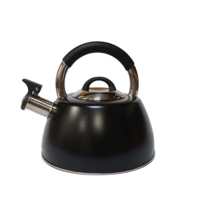 newest Stainless Steel tea kettle whistling kettle