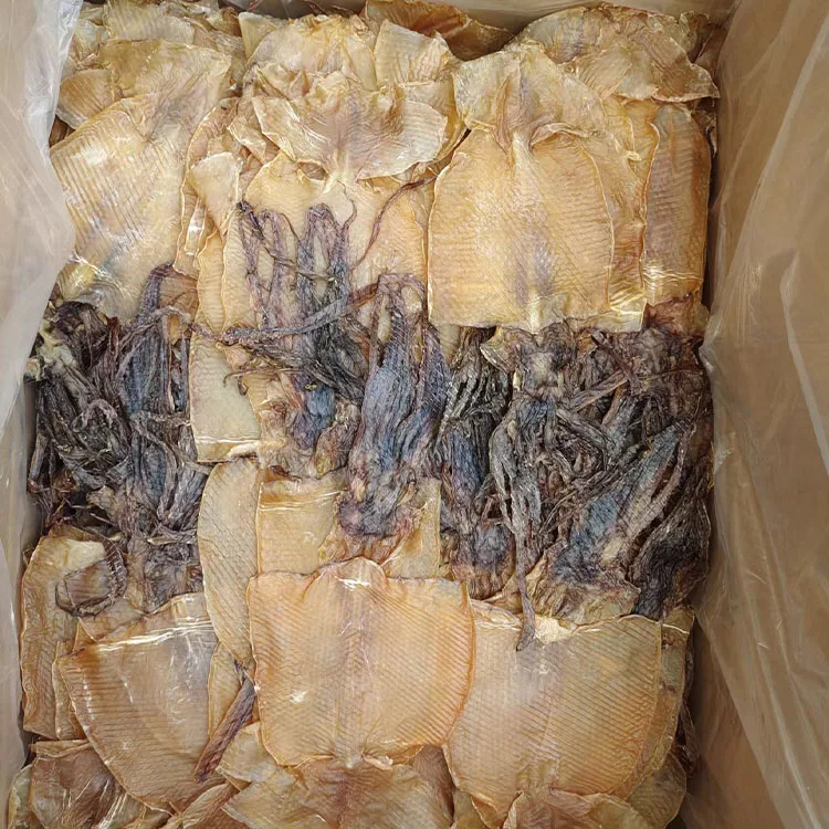 dried squid whole illex squid dosidicus gigas boston squid