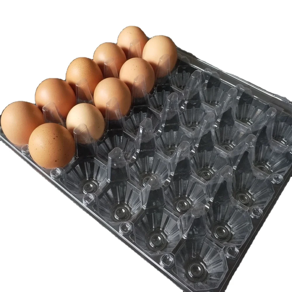 Plastic 30 Egg Tray Carton