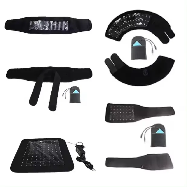 Australian Brumby Horse Dressage Horse Body Therapy Led Lamp