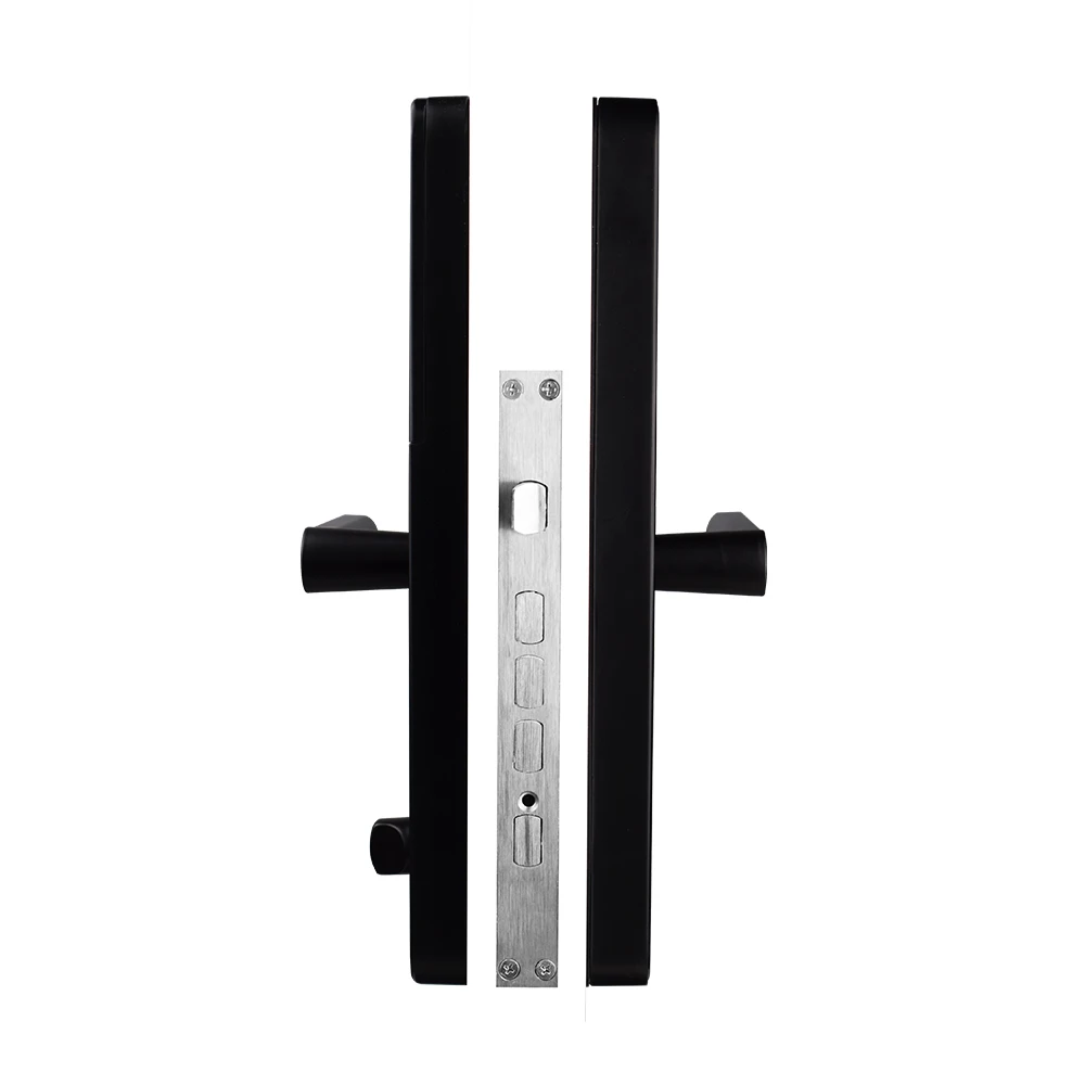 Electronic Biometric Intelligent Fingerprint tuya smart wifi with camera switch electric front door lock